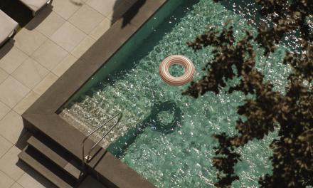 Frühsommerspecial -8%