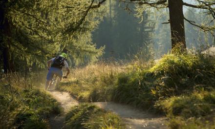 Primavera sui trail. Nuovo respiro.
