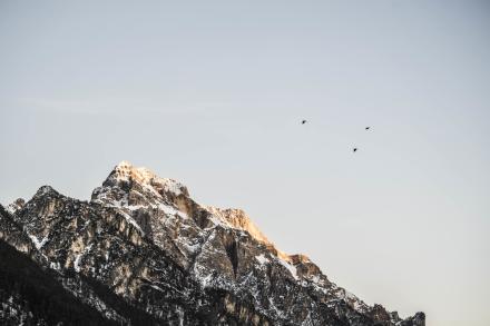 Excelsior Dolomites Life Resort