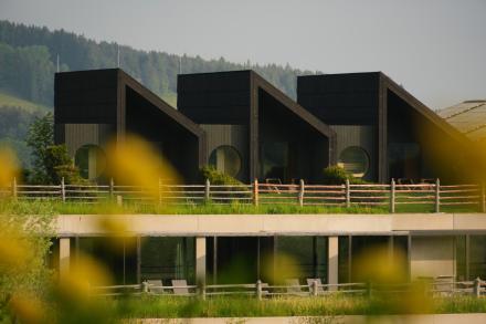 Green Luxury Hotel Pfösl – Dolomites