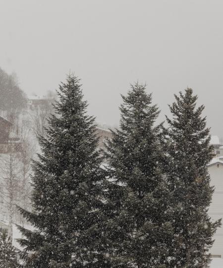 Weihnachten im Marten "Short Stay"