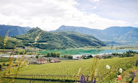 Spring awakening 4=3