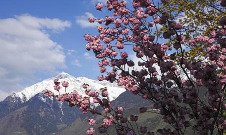 pacchetto risveglio primaverile