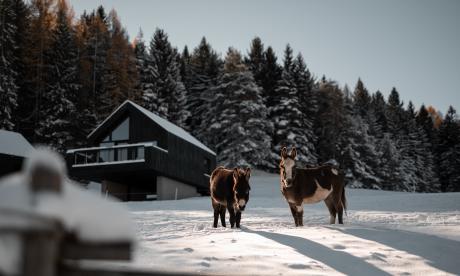 Bonus fedeltá per nuovi ospiti al Pfösl