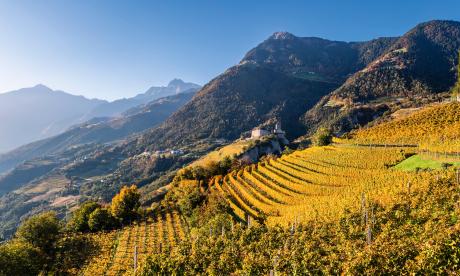 Goldene Herbsttage in Südtirol