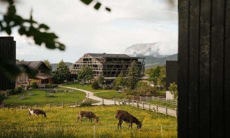 New guest days at Pfösl