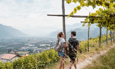 Hiking weeks