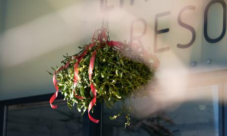 Offerta speciale per la Befana