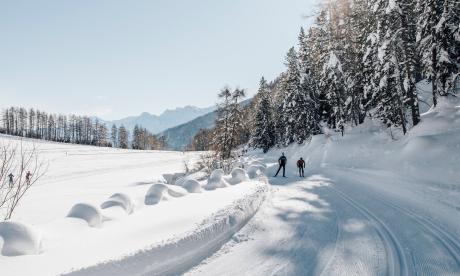 Cross-country week in January and February