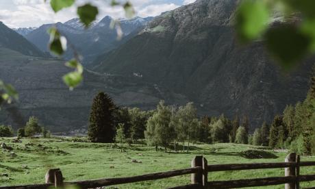 GreenCard: your personal advantage card