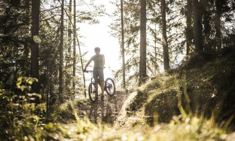Tour & Trail SHORT