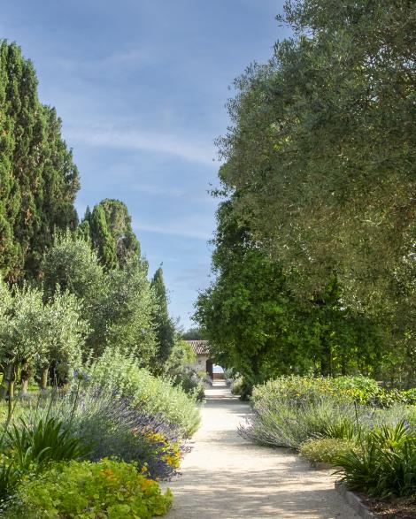 THE ART OF TIME - REDENTORE GARDENS