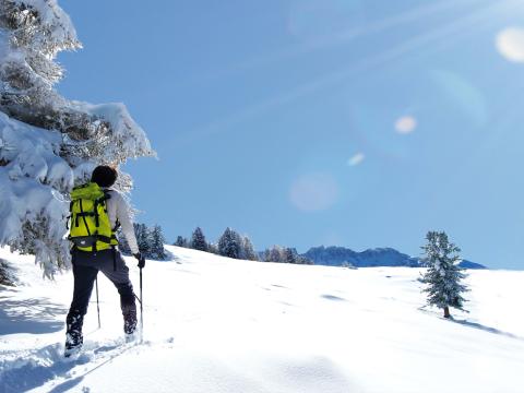 Stille Spuren - Dein Schneeschuh-Abenteuer
