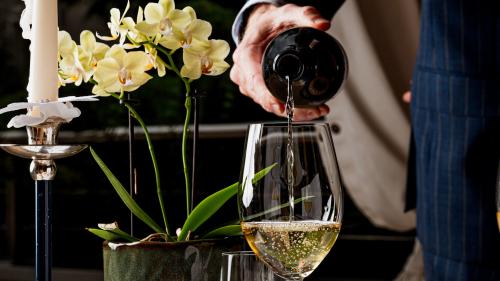 Winefestival Single Special