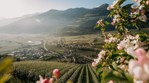 Spring Special -25% | Enjoy 1 free night!