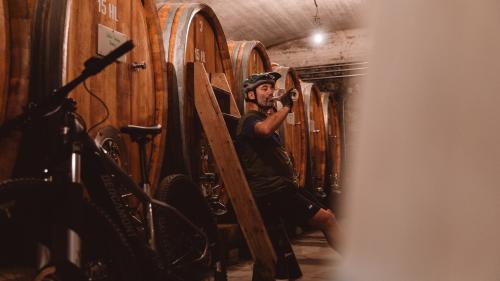 Wine tour in South Tyrol with the E-MTB