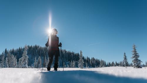 Skifahrer mit Stöcken in verschneiter Landschaft beim Hotel Forstauerwirt