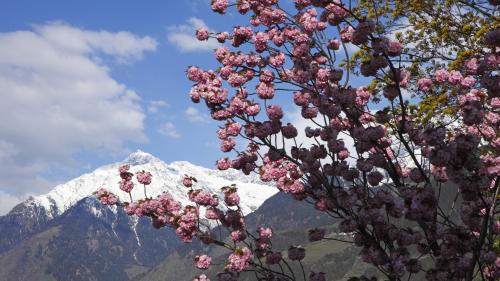 Frühlingsaktion 7 Tage buchen und 6 Tage bezahlen!