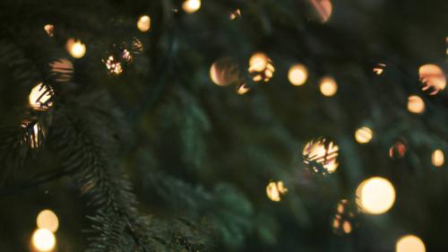 Lichter Winterzauber