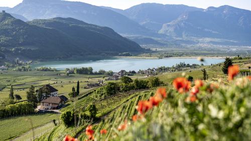 Spring special at the lake 7=6