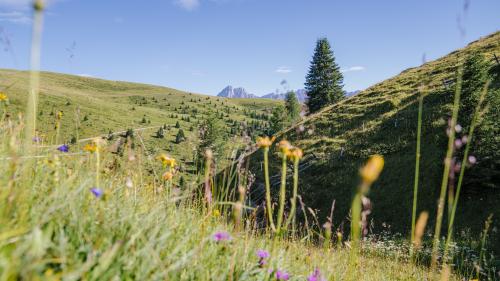 Eastern at Lüsnerhof