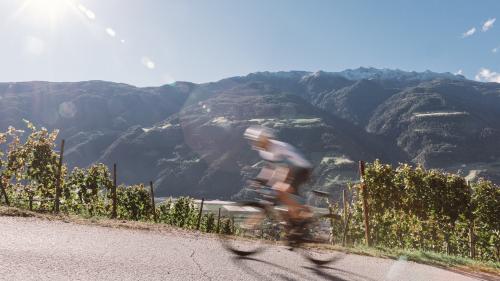 "Ötzi & Friends" road bike opening week