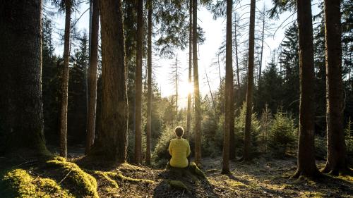 Person sitzt im Wald im Sonnenlicht beim Parc Hotel Florian