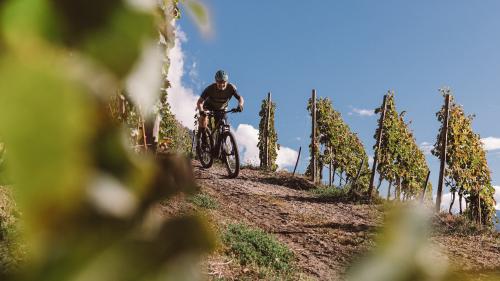 Settimana di prova e-mountain bike