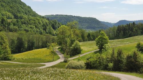 Wandern, Golfen und Genießen