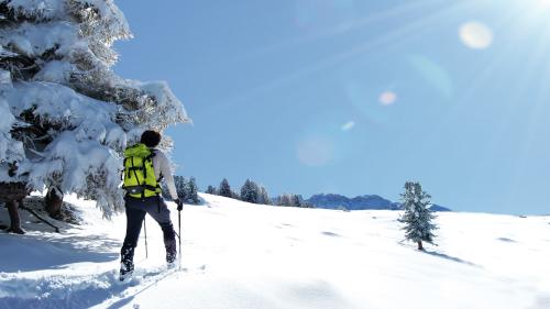 Your snowshoe adventure