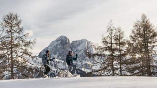 Snowshoe hiking days - 5 nights