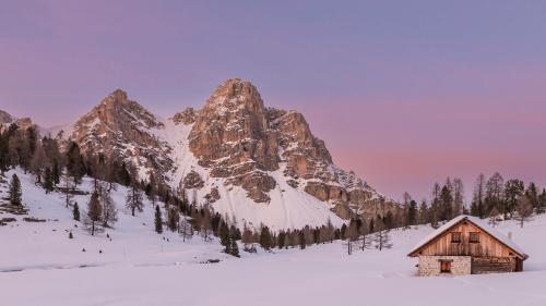 Christmas Time - 3 nights