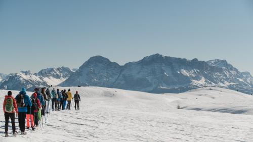 Snowshoe hiking week