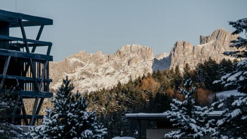 Bergwinter -15%