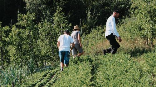 Local Food-Adventure im Juni