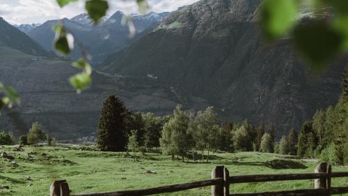 GreenCard: your personal advantage card