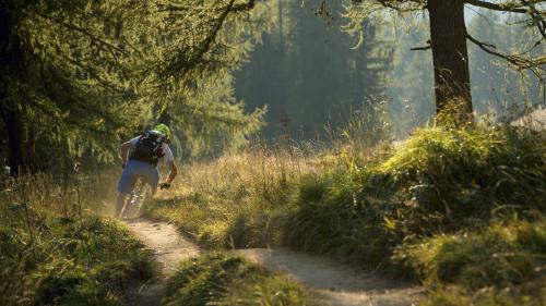 Spring on the trail. Fresh air, new flow.