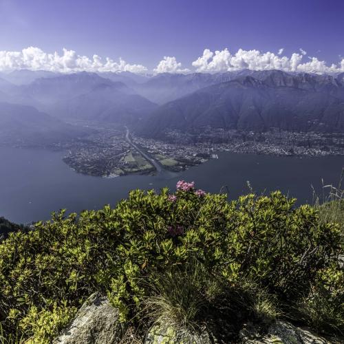 BIKE, NATUR & GENUSS - Aktivurlaub in Ascona