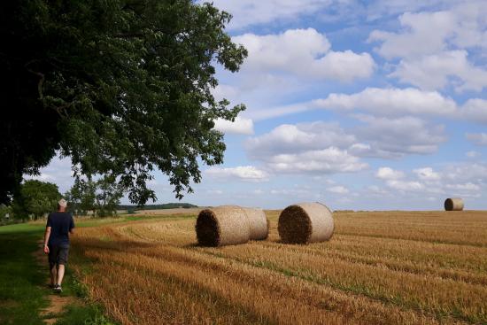 Wanderlust in der Südwestpfalz