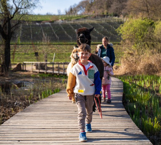  - Gartenhotel Moser