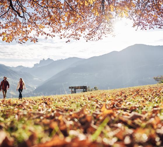 Wein-Wandern-Wellness-Wochen - Hotel Seeleiten