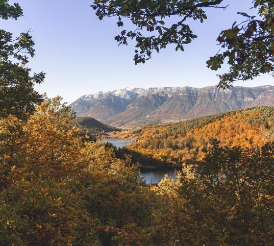 Autumn for wine lovers - Gartenhotel Moser