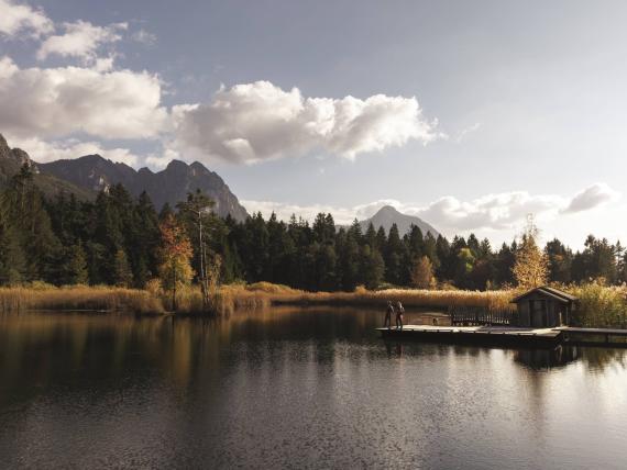 Golden Autumn at the Lake