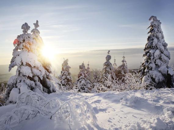 Winter-Special