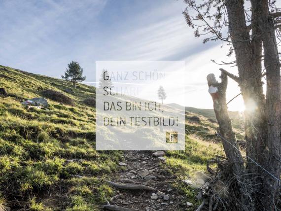 Wanderwoche