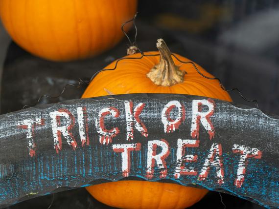 Zucche Halloween Trick or Treat