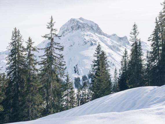 Verschneite Berglandschaft mit Tannen bei Hohe Welt Luxury Apartments