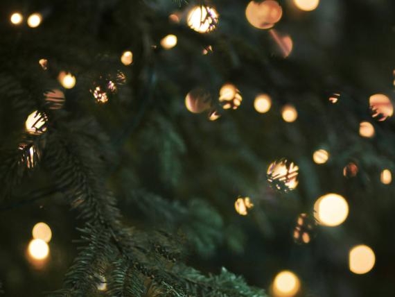 Lichter Winterzauber