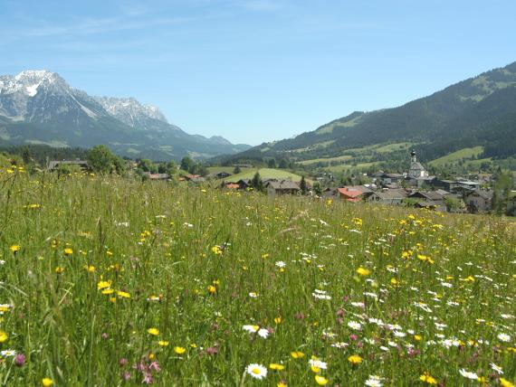 4 Tage Wandern & Golf am Wilden Kaiser