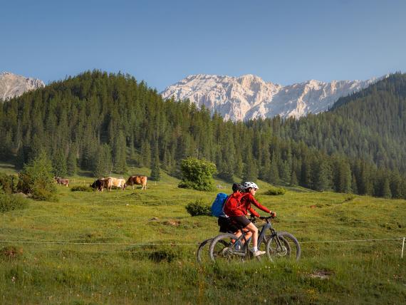 E-Bike Tage 